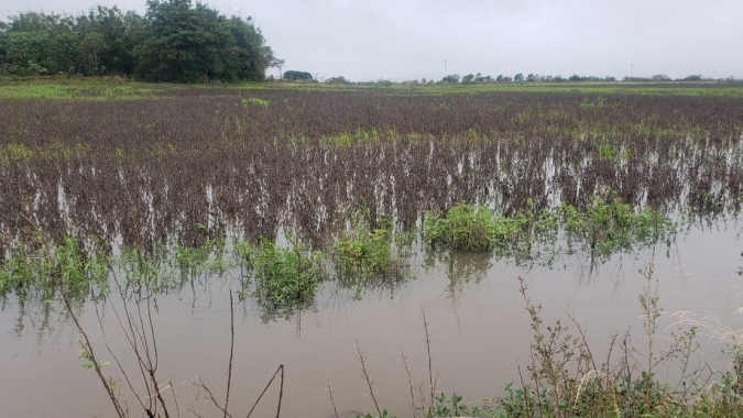 Endividamento Rural no RS: O que há de concreto e de propostas até o momento