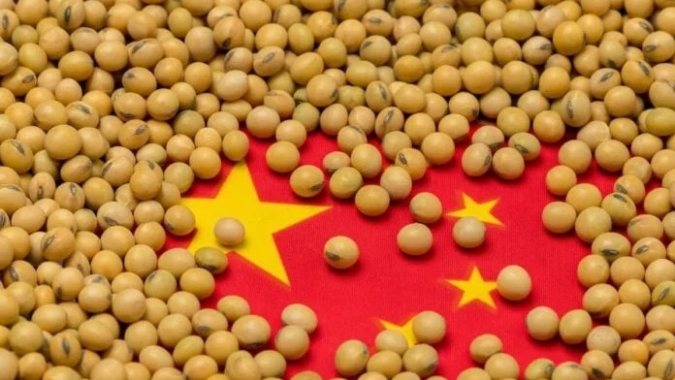 China prevê menores importações de soja em 2026/27; eleva estimativa para 2025/26