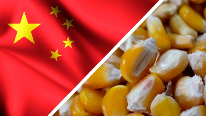 China deve acelerar liberação para milho brasileiro em meio à guerra na Ucrânia e tensões com EUA