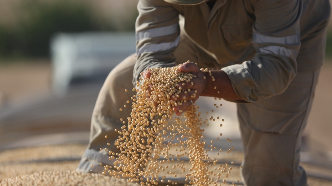 Brasil será determinante para China completar suas compras de soja nos próximos meses, avalia Pátria Agronegócios