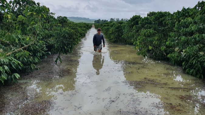 Chuva alaga áreas do conilon no Espírito Santo e fecha estradas no Sul da Bahia: Danos na produção sendo contabilizados