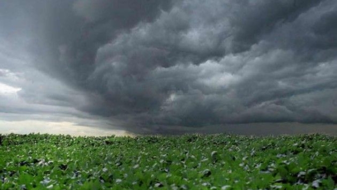 El Niño muda padrão de chuva e exige atenção do produtor para o plantio na primavera