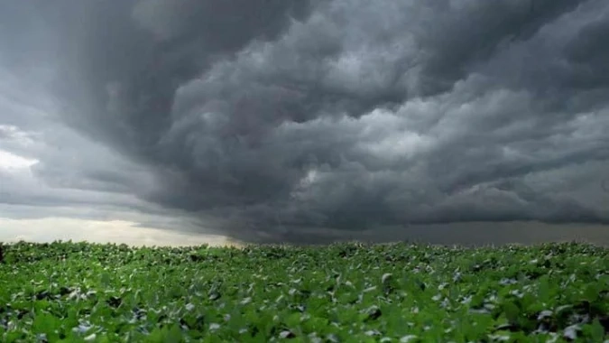 Alívio para o Matopiba: chuva retorna e pode recuperar umidade do solo neste fim de semana