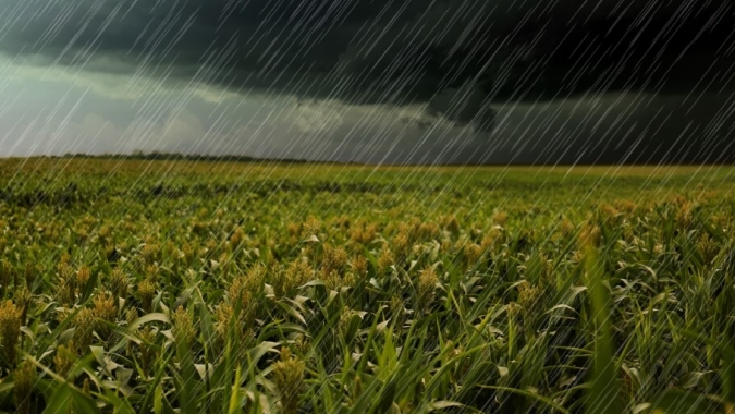 Inmet: Clima de julho deve favorecer colheitas no Centro-Oeste e Sudeste, mas risco de geadas não está descartado