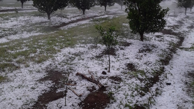 Mais de 16 mil hectares foram atingidos pelas chuvas de granizo em Minas Gerais