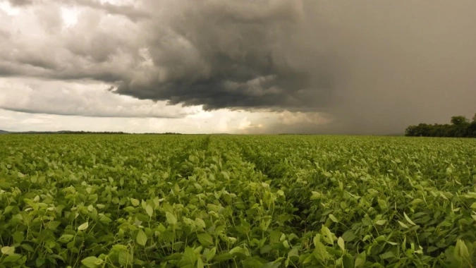 Como será setembro com o El Niño e a chegada da primavera?