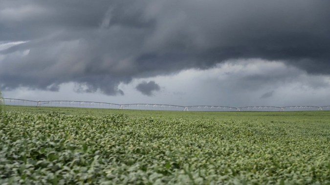 Em função das enchentes, cooperativas agropecuárias estimam perdas bilionárias para os produtores rurais catarinenses