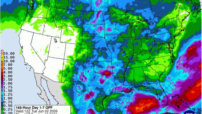 Soja aprofunda baixas em Chicago nesta 3ª feira com boas chuvas esperadas para o Corn Belt