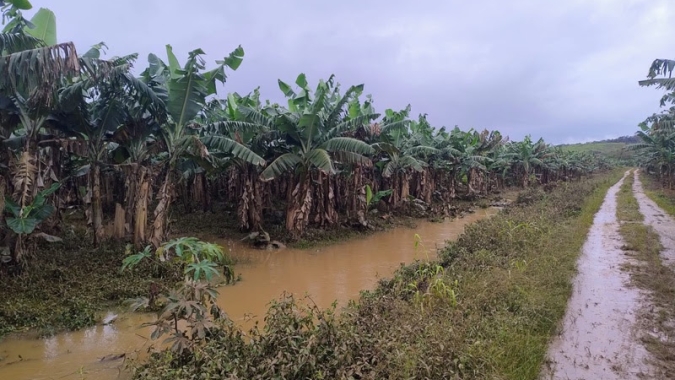 Governo de SP libera R$ 10 milhões em crédito emergencial para produtores afetados pelas chuvas no Vale do Ribeira