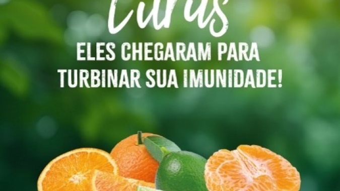 IFPA lança campanha nacional para incentivar consumo de frutas cítricas