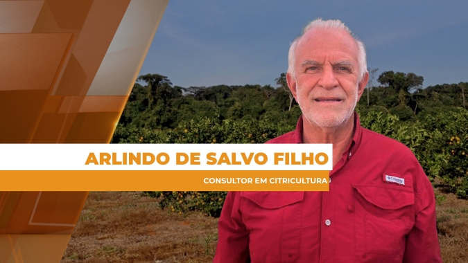 Safra/25 brasileira de laranja pode ter queda maior que o esperado, mas segue com boa estimativa de produção