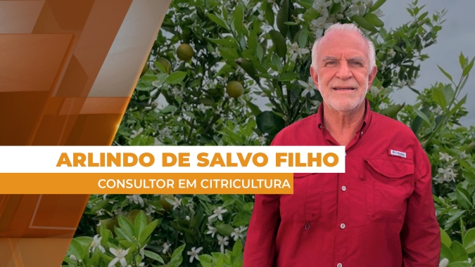 Próxima safra de laranja deve vir irregular e atrasada devido a problemas nas floradas