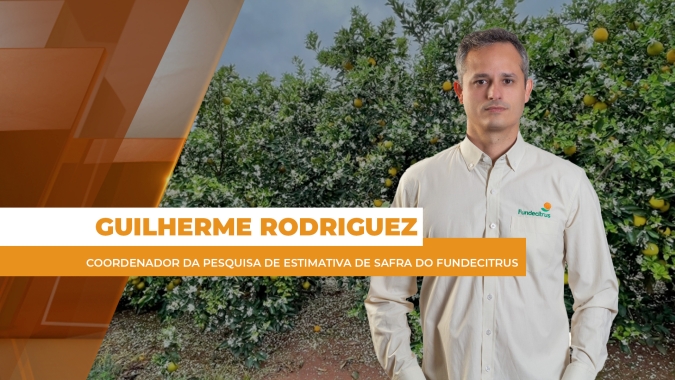 Segunda florada da laranja em MG e SP contribuiu para o aumento da safra de laranja 2025/26
