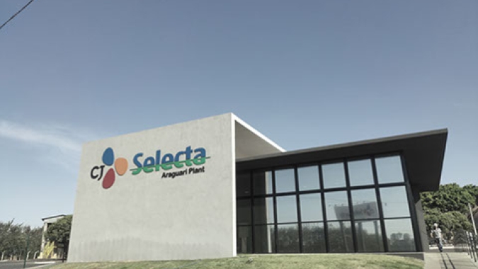 Serasa Experian ajuda CJ Selecta a monitorar quase 4 milhões de toneladas de soja e ampliar rigor socioambiental da cadeia