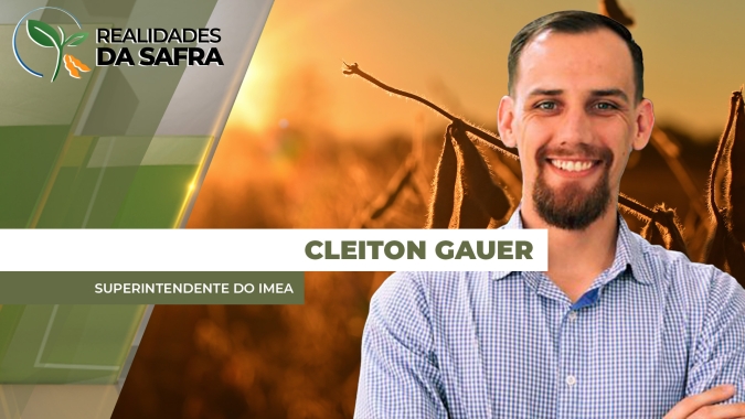 Culturas de 2ª safra se desenvolvem bem no Mato Grosso, mas contas para 2026/27 preocupam os produtores