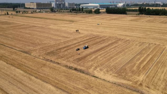 Do Mar Negro ao Meio-Oeste dos EUA, clima extremo ameaça a produção agrícola
