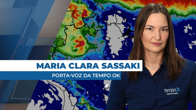 Primeiras chuvas devem chegar na próxima semana ao Brasil Central, favorecendo o início do plantio da safra de soja