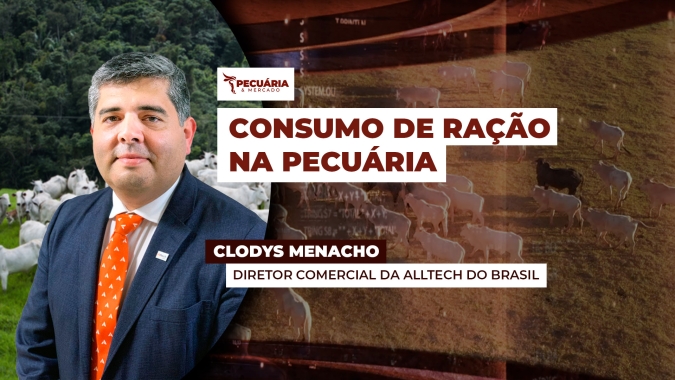 Consumo de ração na pecuária de corte brasileira cresce  quatro vezes mais que média mundial