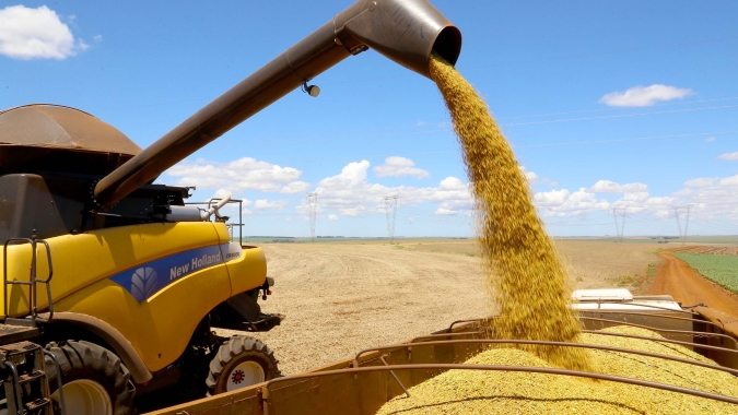 Colheita da soja avança para 88% da área total cultivada no RS
