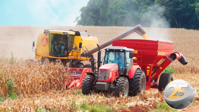 Colheita do milho está na reta final em Guaíra/SP com produtividade afetada por seca e cigarrinhas