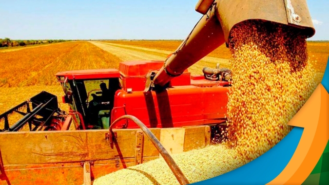 Primeiras colheitas de soja em Balsas/MA sentiram impacto do excesso de chuvas com queda na produtividade
