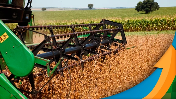 Produtores paulistas tentam finalizar colheita da soja enquanto repensam estratégia de safrinha