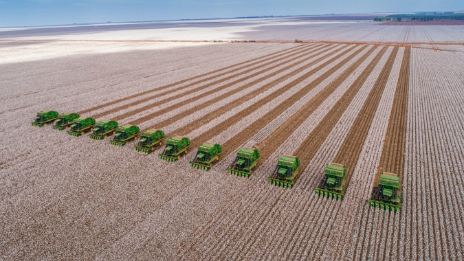 Algodão melhora margem e ganha força para recuperar área em 26/27, mas querer ampliar área não significa conseguir plantar
