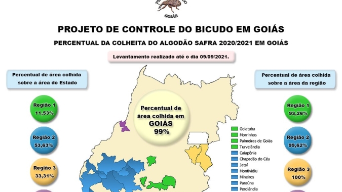 Restam menos de 250 hectares de algodão a serem colhidos em Goiás