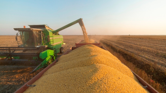 Safras & Mercado reduz previsão para colheita de soja do Brasil com corte no RS