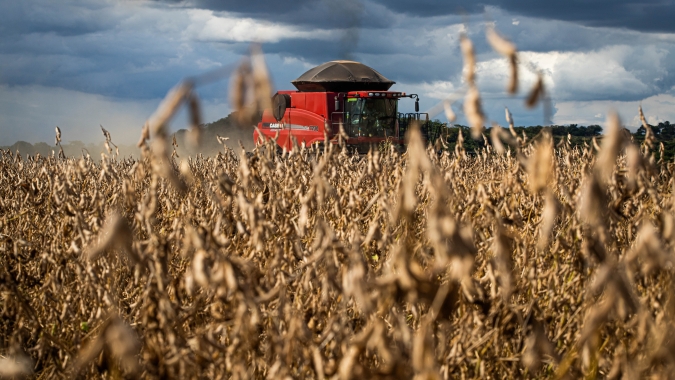 No acumulado até o terceiro trimestre, agro puxa crescimento da economia com alta de 11,6%