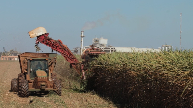 Safra 23/24 de cana próxima do fim confirma otimismo e moagem pode ficar em recorde de cerca de 650 mi de t no Centro-Sul