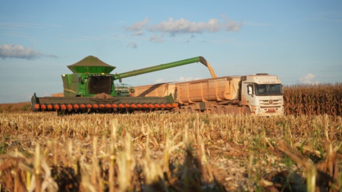 Colheita de milho do Brasil avança para 88,4% da área total, diz Pátria AgroNegócios
