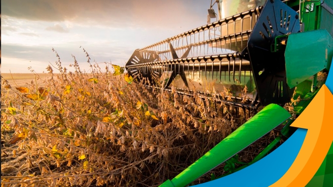 Com colheita bastante atrasada, Nova Xavantina/MT espera queda entre 25 e 30% na produtividade da soja