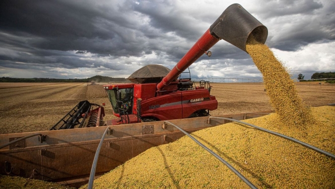 Conab vê aumento 5,1% na safra de soja do Brasil 23/24; queda de 9,1% para milho