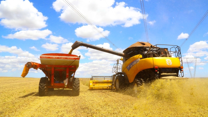 Agrural: Colheita de soja chega a 82% da área cultivada no Brasil