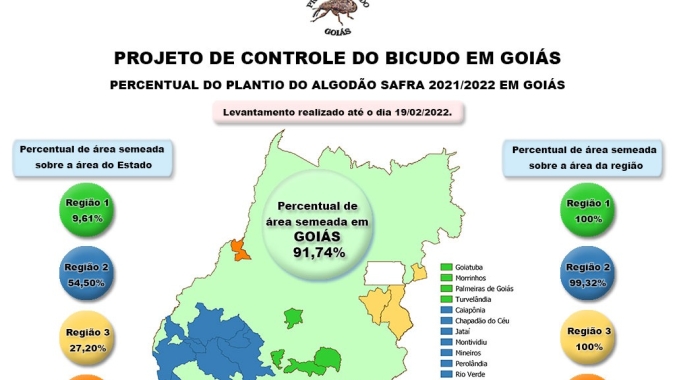 Plantio de algodão em Goiás mais perto do fim
