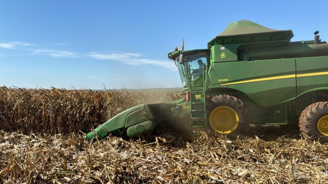 Conab indica colheita da safrinha de milho passando dos 13% e destaca bons rendimentos em GO e MT