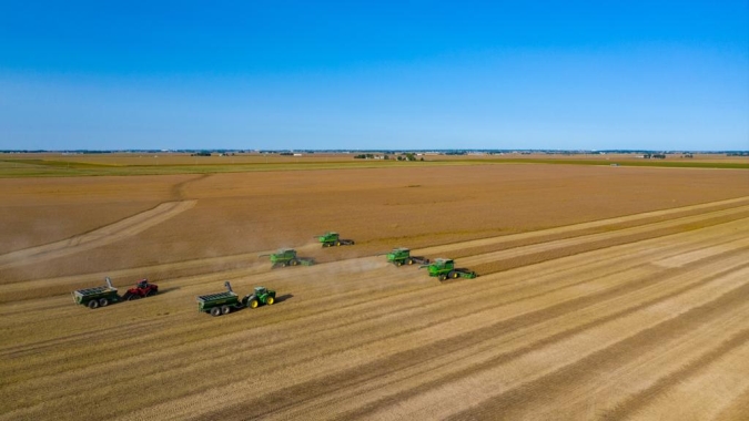 Agromove: Clima beneficia safras argentina e norte-americana de soja e mantém expectativa de preços pressionados para baixo