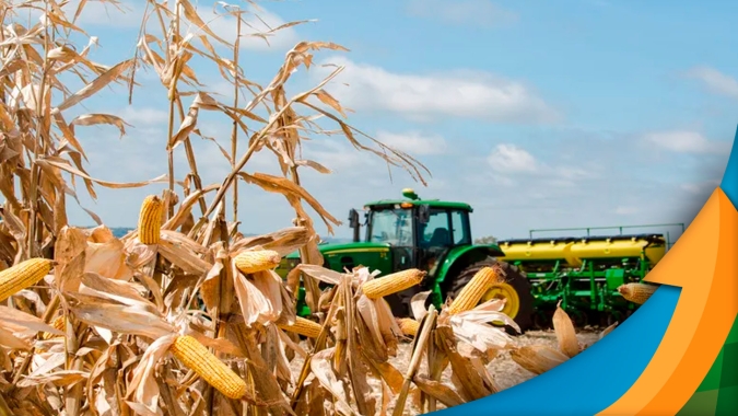 Aprosoja GO produtividade do milho de 15 a 20% menor e dificuldades para fechar a conta