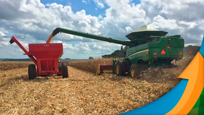 Chapadão do Sul/MS consolida perdas entre 30 e 40% no milho e agora se prepara para plantar a soja