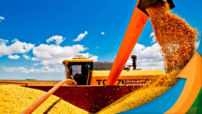 Nova Mutum/MT encerra colheita do milho com 17 sacas a menos por hectare do registrado em 2020