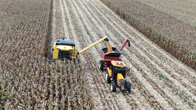 Agricultor paranaense triplica a produtividade do milho e estabelece recorde nacional
