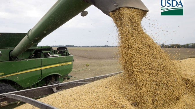 USDA: Colheita de soja e milho dos EUA avança bem na semana, mas segue abaixo do ano passado