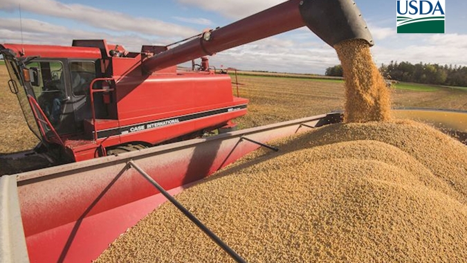 USDA: Colheita da soja nos EUA é reportada em 6% e de milho sobe para 10%