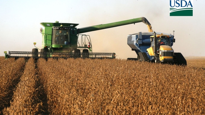 USDA: Índice de colheita de soja e milho dos EUA se mostra bem abaixo do mesmo período de 2020
