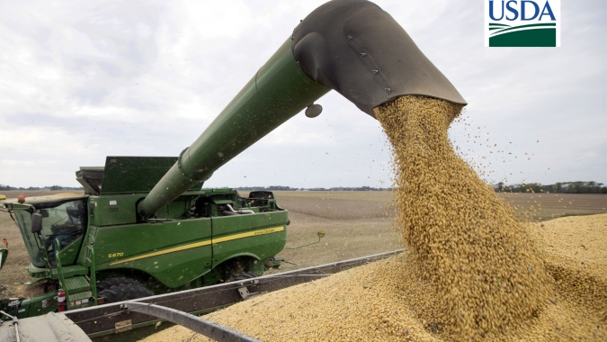 USDA traz embarques semanais de soja dos EUA abaixo do esperado