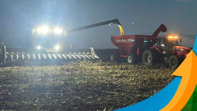 Tapurah/MT começa a colher milho com boa produtividade, mas alto índice de avarias