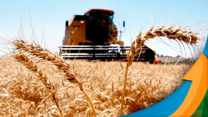 Paraguai sofreu mesmos problemas climáticos no milho e colheita está abaixo do esperado