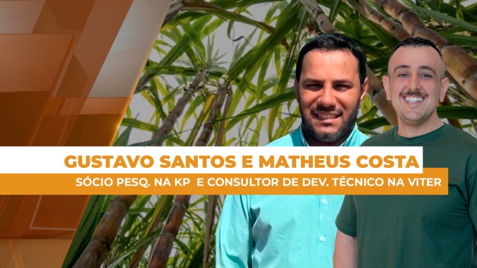Como o uso de óxidos nas lavouras de cana-de-açúcar podem potencializar a produtividade