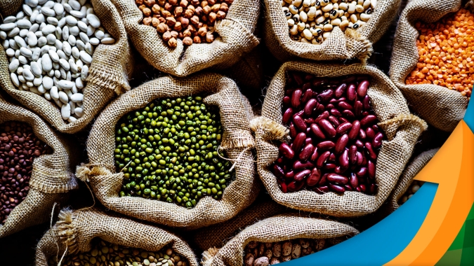 Artigo/Cepea: O que esperar dos preços das commodities alimentícias nos próximos meses?